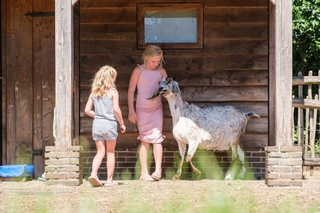 Camping De Pallegarste Chalet 119 Marienberg Zewnętrze zdjęcie