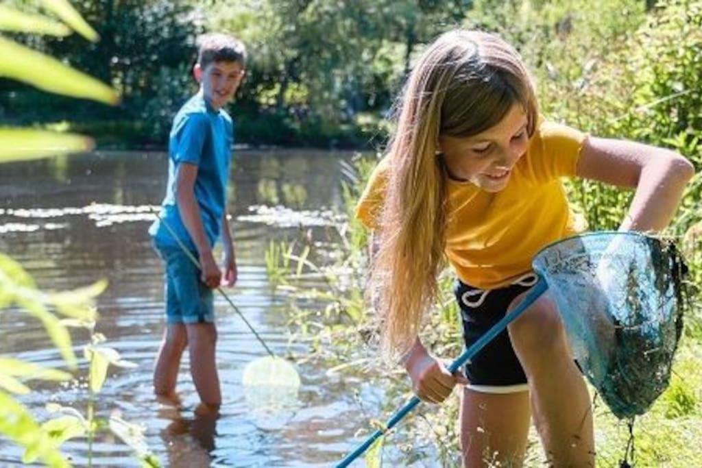 Camping De Pallegarste Chalet 119 Marienberg Zewnętrze zdjęcie